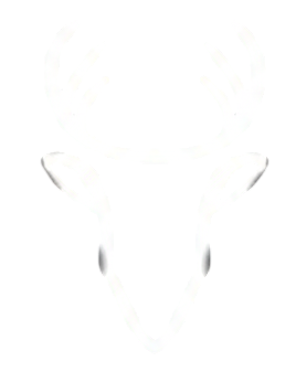 Nomadeer logo